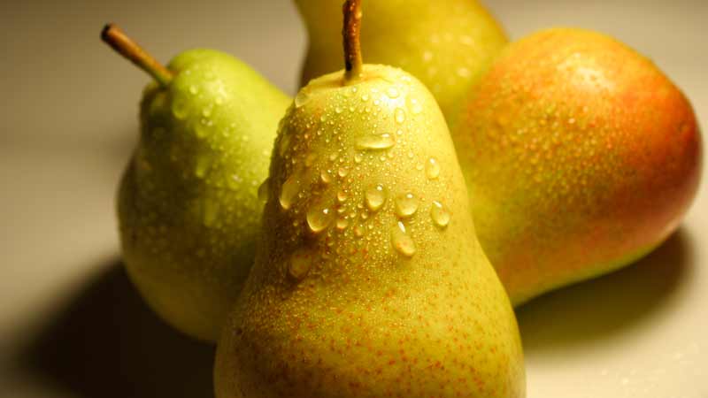 La composition chimique d'une poire, sa teneur en calories et ses avantages et ses inconvénients pour la santé