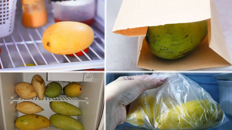 Hoe je een mango thuis bewaart om te voorkomen dat hij bederft