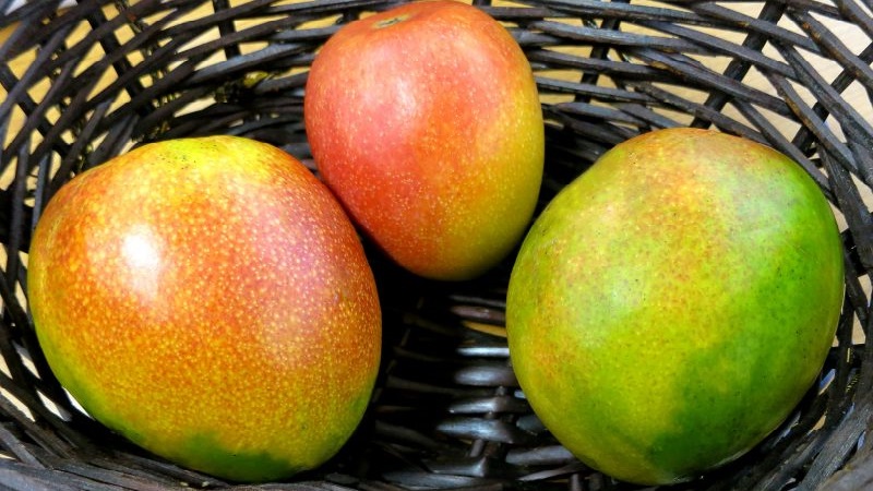 So bestimmen Sie den Reifegrad einer Mango und reifen die Früchte zu Hause