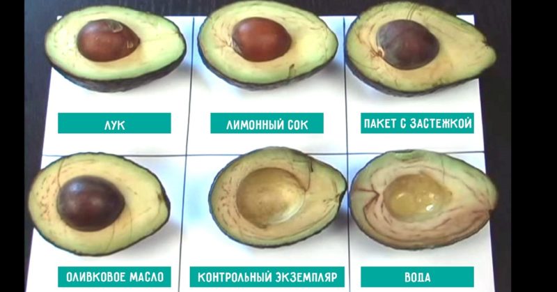 Како правилно чувати исечени авокадо
