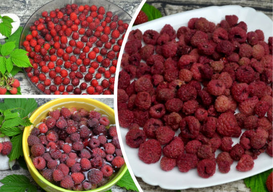 How to dry raspberries at home