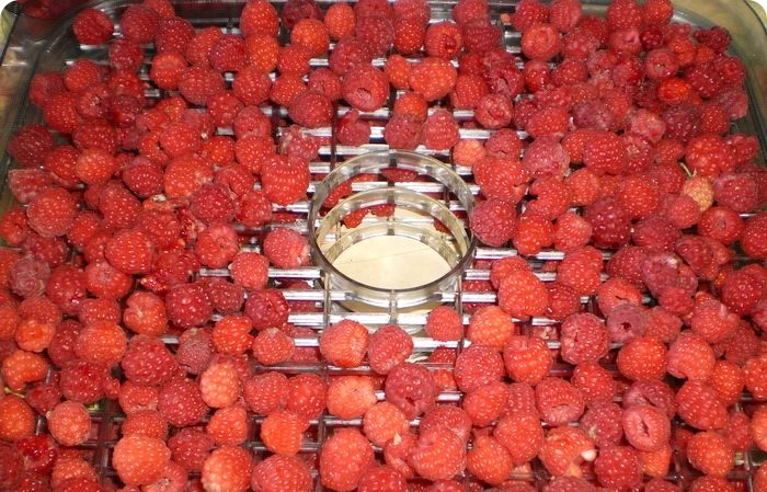 Paano matutuyo ang mga prutas ng raspberry at dahon sa bahay
