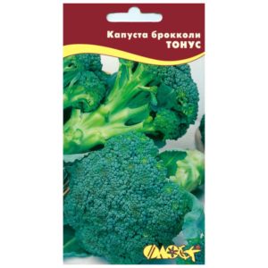 Cechy uprawy i opis odmiany kapusty brokułowej Tonus
