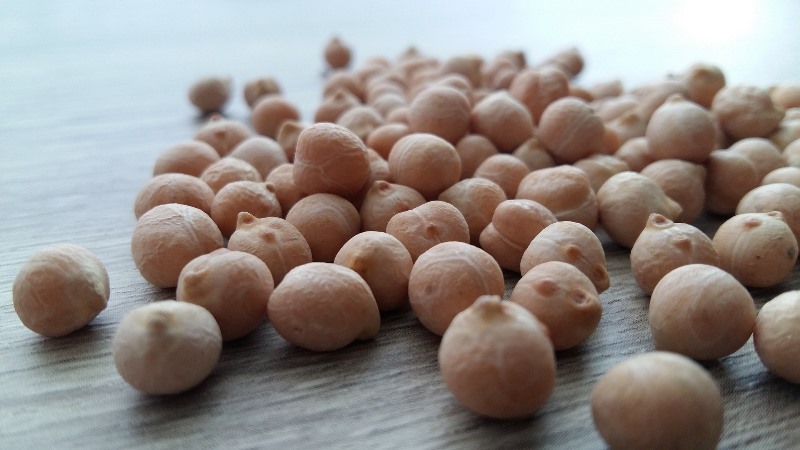 Chickpeas - composition, calorie content, benefits and harms