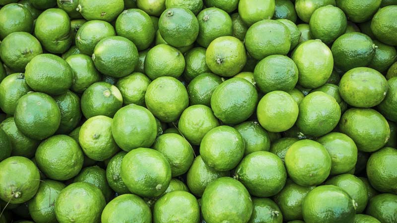 Citron vert: composition et propriétés utiles du fruit, caractéristiques d'application