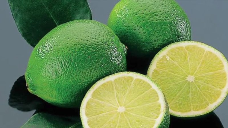 Lima: composición y propiedades útiles de la fruta, características de aplicación.