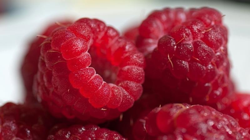 Ang pinakamahusay na mga varieties ng mga malalaking prutas na raspberry