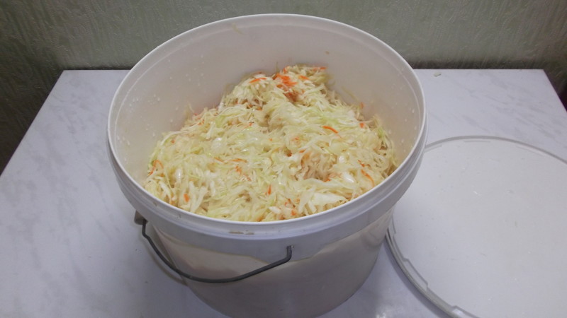 Je možné fermentovať a slanú kapustu v plastovej nádobe na jedlo a iných plastových miskách