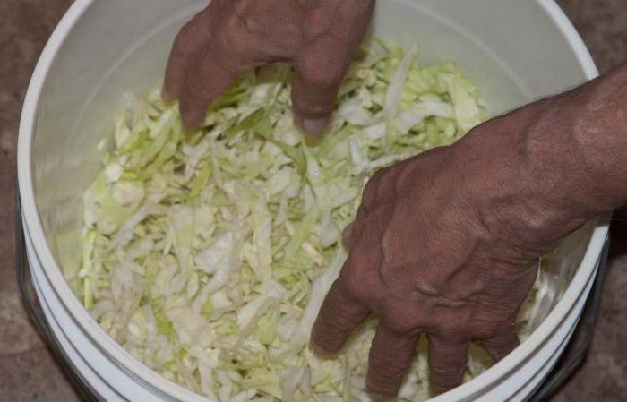 Is it possible to ferment and salt cabbage in a plastic food bucket and other plastic dishes