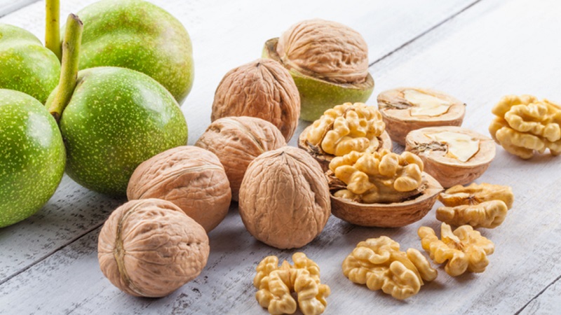 The benefits and harms of walnuts for women