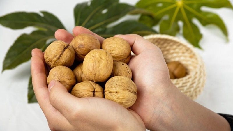 Ползите и вредите от орехите за жените