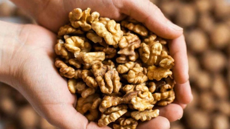 Výhody a poškodenie vlašských orechov pre ženy