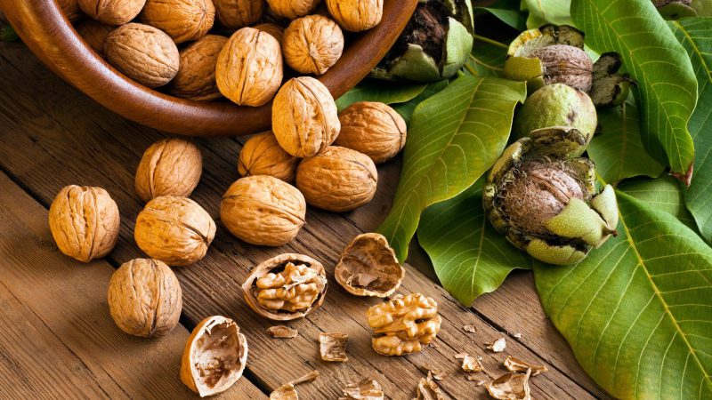 Do nuts help you lose weight
