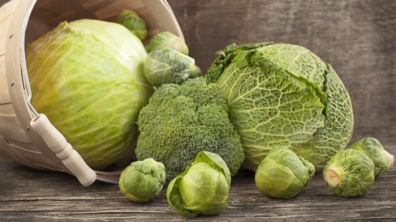 Làm thế nào để dành một ngày ăn chay đúng cách với bắp cải và bạn có thể giảm cân bao nhiêu