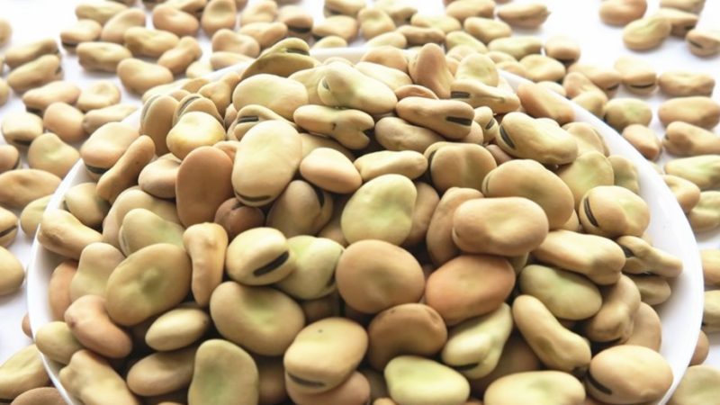 Mga uri at uri ng beans: kabayo (hardin), pandekorasyon, malalaking prutas na gulay, kumpay