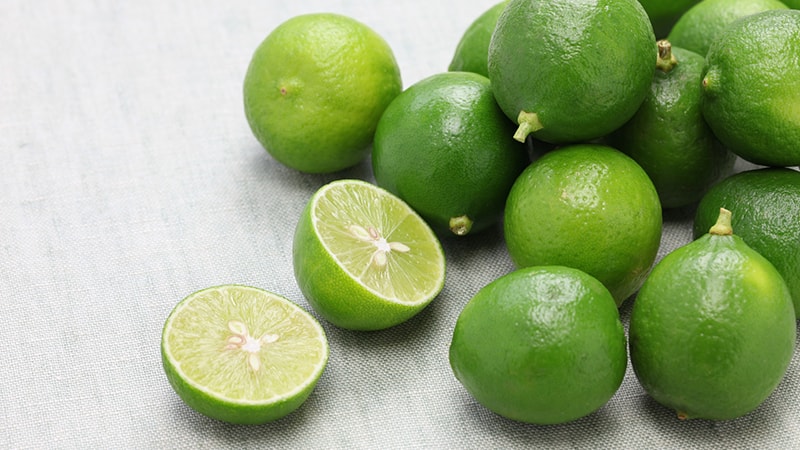 Jus et concentré de citron vert: composition, propriétés, application, contre-indications