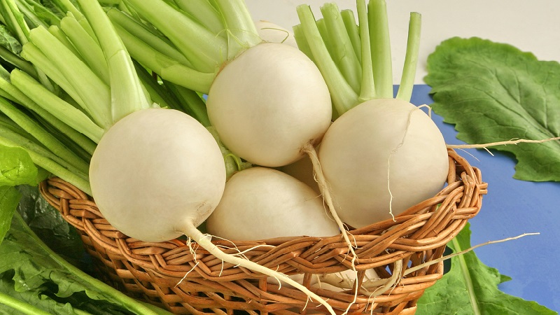 What is turnip, what it looks like in the photo, how to cook it and eat it