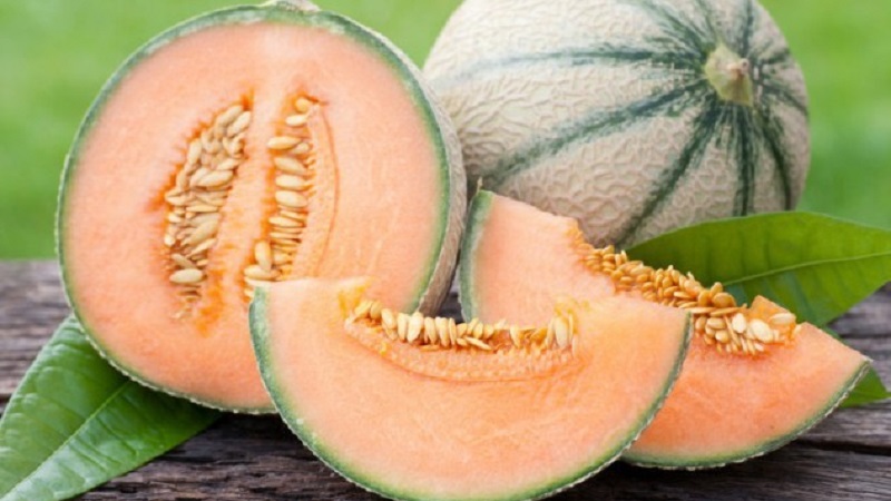 Quels sont les types et variétés de melons