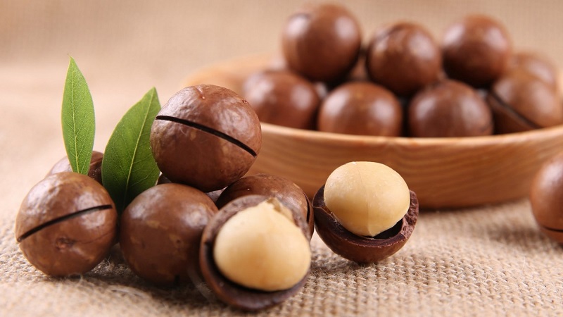 What does macadamia nut taste and smell like, how to eat it correctly
