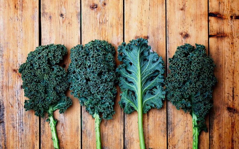 Zelí Kale - jaký druh rostlin je a jak to vypadá