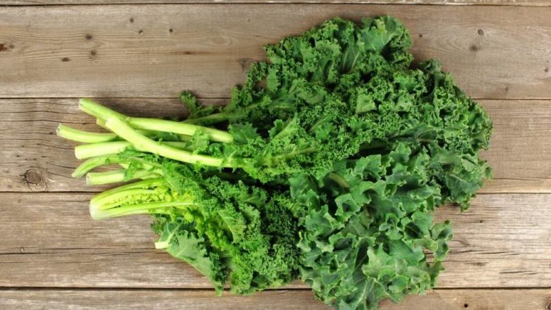 Kapusta Kale - aký druh rastlín je a ako vyzerá