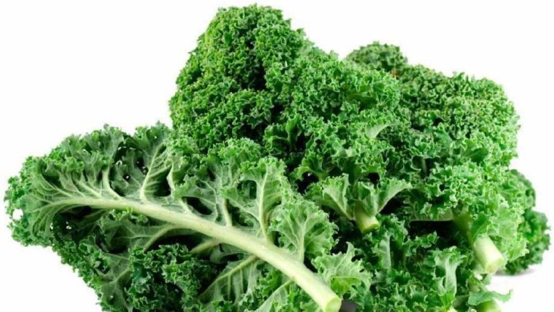 Kapusta Kale - aký druh rastlín je a ako vyzerá