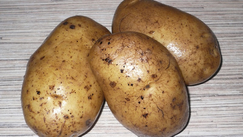 Classificació de patates per tipus