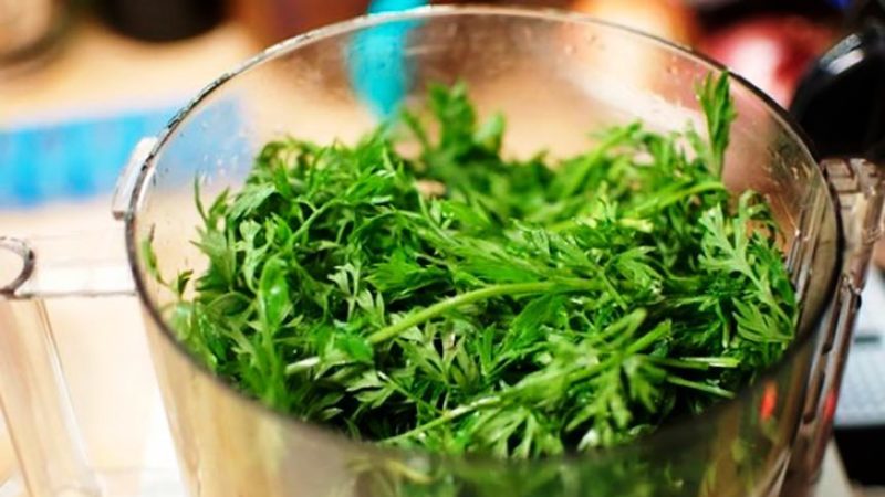 Incredible healing properties of carrot tops: recipes and contraindications
