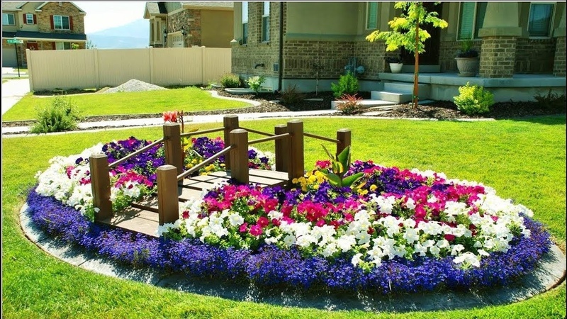 The best varieties of ampel petunias and features of their cultivation