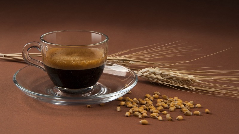 The benefits and harms of barley drinks - coffee, decoctions