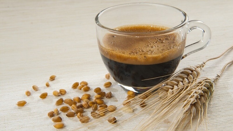Предности и штете пића од јечма - кафа, декоције
