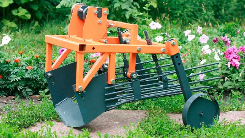 The advantages of a manual potato digger and how to do it yourself
