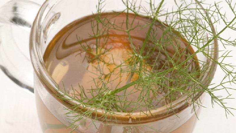 The most effective dill tincture recipes