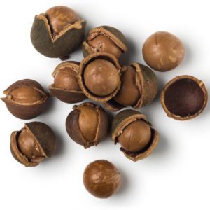 Macadamia nut shells - beneficial properties and uses