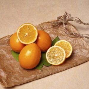 Uzbek lemon - differences and features of cultivation