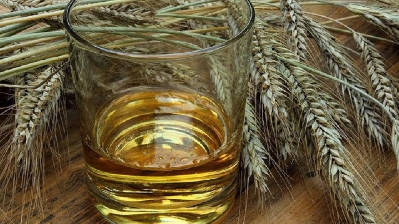 Secrets of making barley whiskey at home