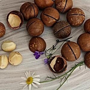 Dlaczego czekoladowe orzechy makadamia są dobre i jak je prawidłowo jeść