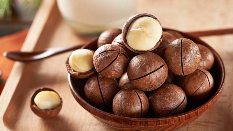Защо шоколадът от макадамия е добър и как да го ядем правилно