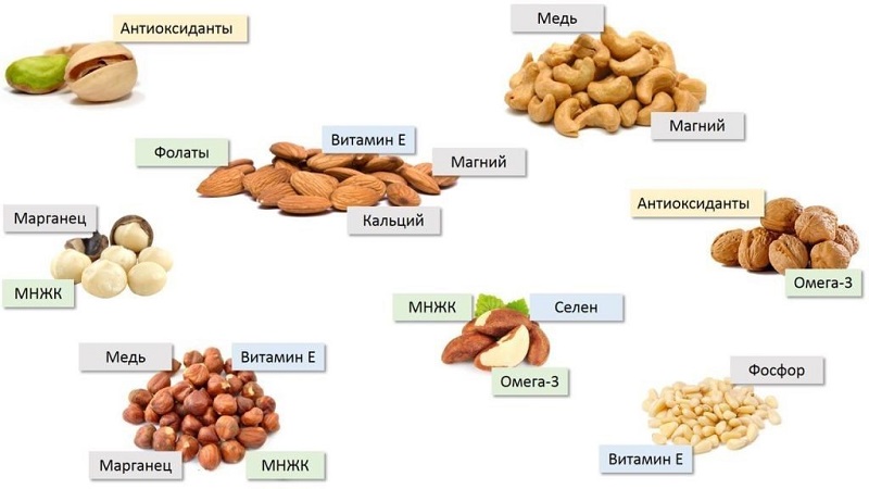 Hoeveel noten per dag kun je afvallen
