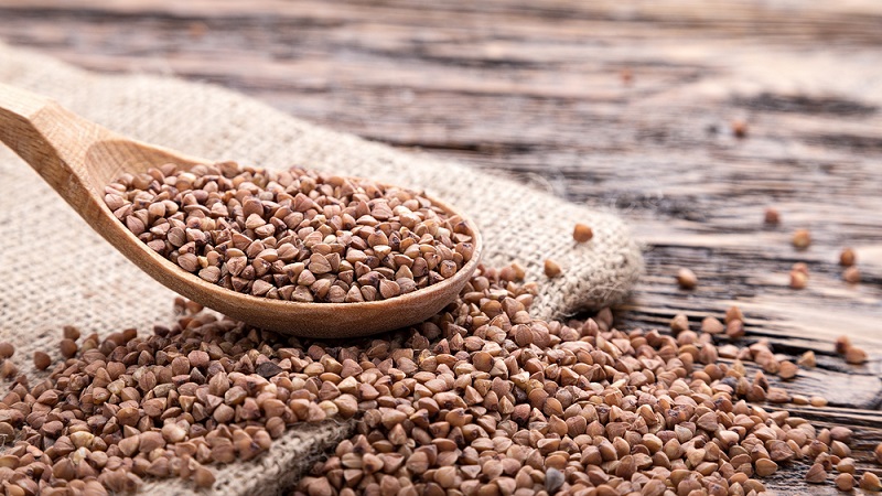 ¿Qué es el trigo sarraceno: cereal, cereal o grano?