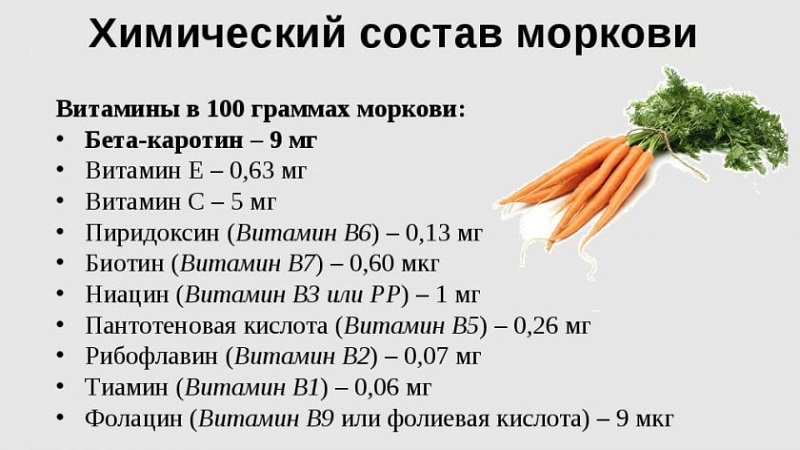 Carrots - what kind of plant it is, how much it weighs, what it consists of - all about carrots