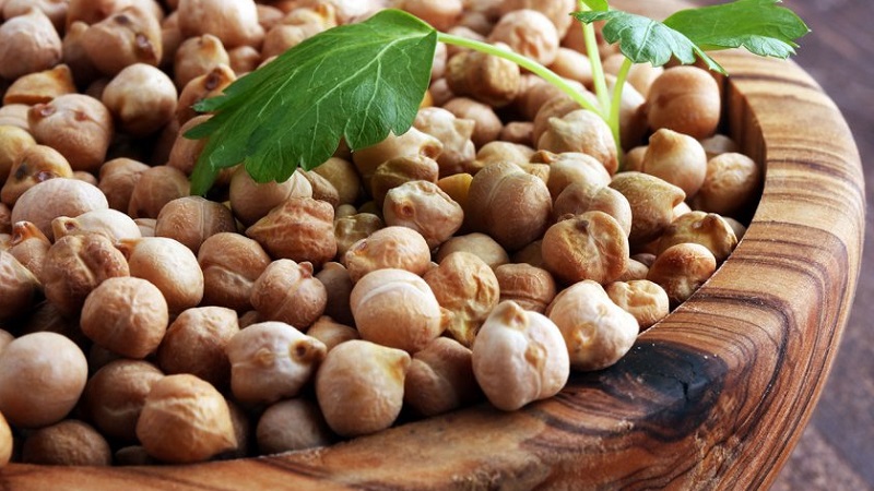 Description and characteristics of chickpeas
