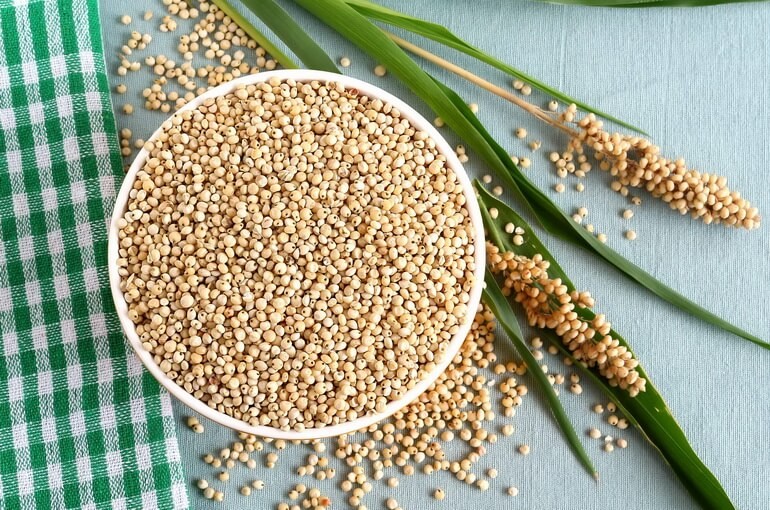 Wat is graansorghum, kenmerken van het gebruik en de teelt