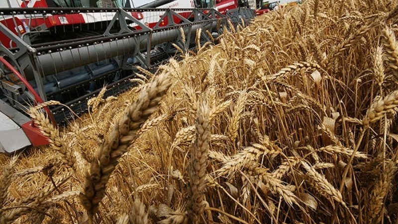 Списък на най-големите производители и износители на пшеница