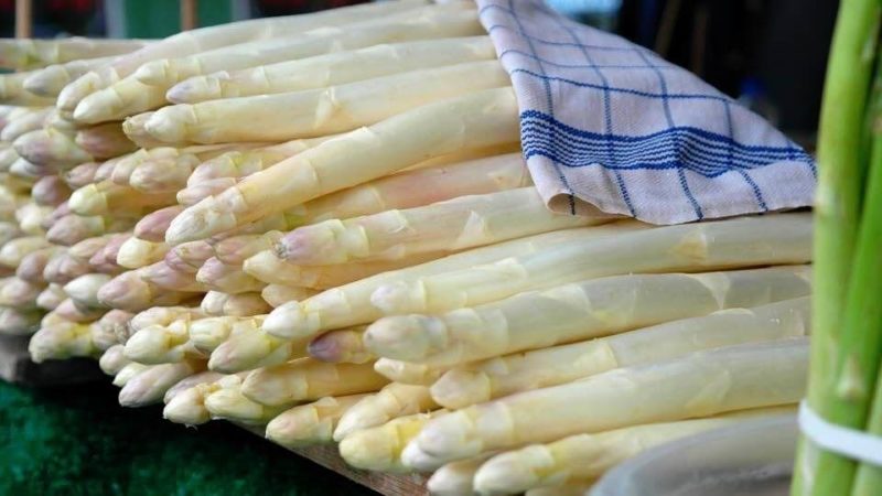 Ano ang puting asparagus at bakit ito ang kulay