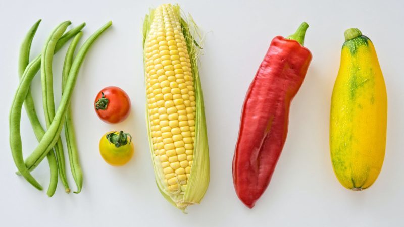 Како разликовати крмни кукуруз од прехрамбеног кукуруза и употребе обе врсте