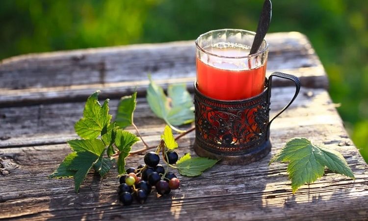 Hoe thee te zetten van bessenbladeren en hoe het nuttig is voor het lichaam