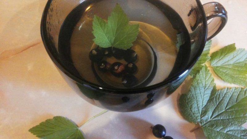 Cómo hacer té con hojas de grosella y cómo es útil para el cuerpo.