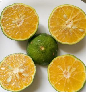 Wie heißt eine Mischung aus Zitrone und Mandarine?