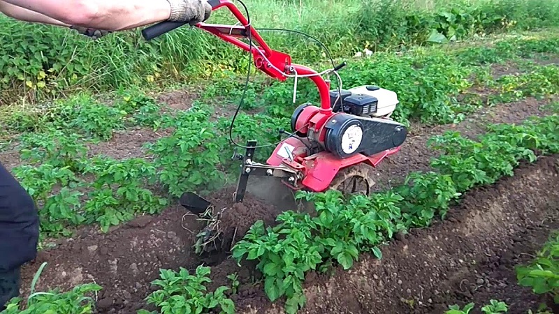 Arkadan çekmeli traktörle patates nasıl kazılır